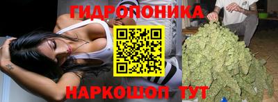 apvp Абинск