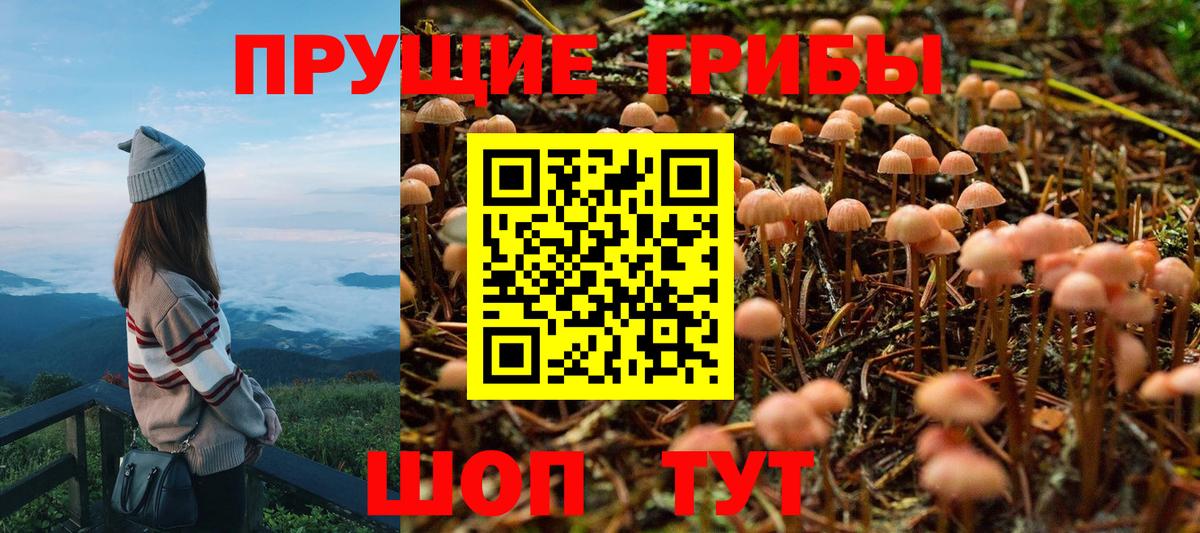 Псилоцибиновые грибы мухоморы Анапа